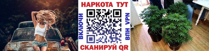 Купить закладку Новозыбков МДМА  blacksprut ONION  ГАШИШ  МАРИХУАНА  Амфетамин  Cocaine 