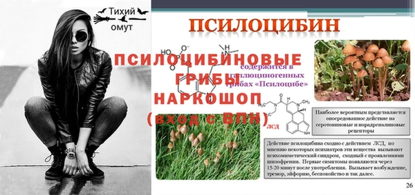 mdma Бородино