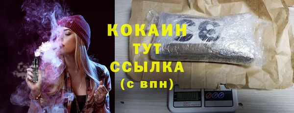 шишки Невельск